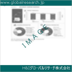 グローバルリサーチ調査資料のイメージ